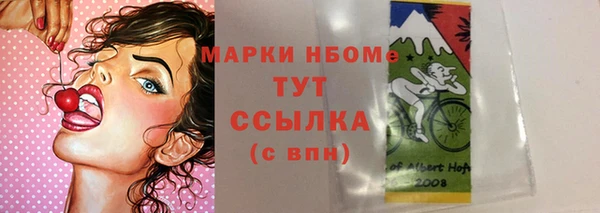 круглые Белокуриха