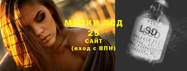 PSILOCYBIN Беломорск