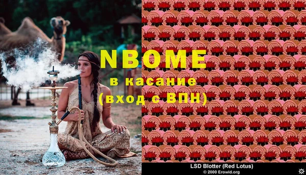 PSILOCYBIN Беломорск