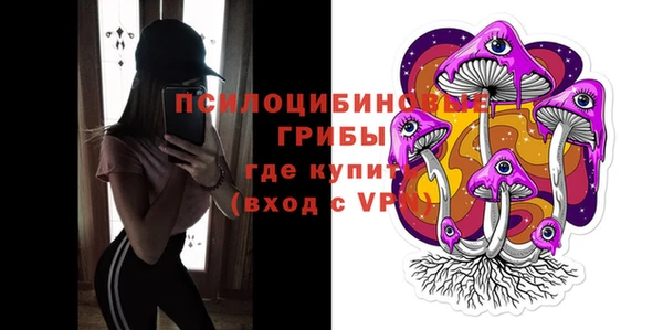PSILOCYBIN Беломорск